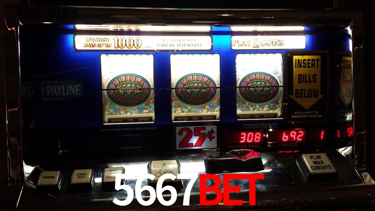 Statistics 5667bet
